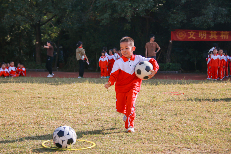 IMG_5950 IMG_5950